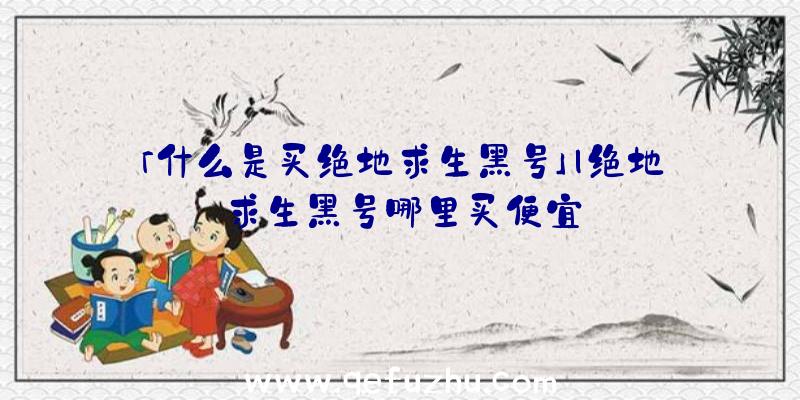 「什么是买绝地求生黑号」|绝地求生黑号哪里买便宜